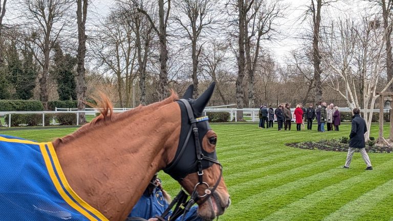 Galloping into 2026: A New Year’s Day Racing at Windsor